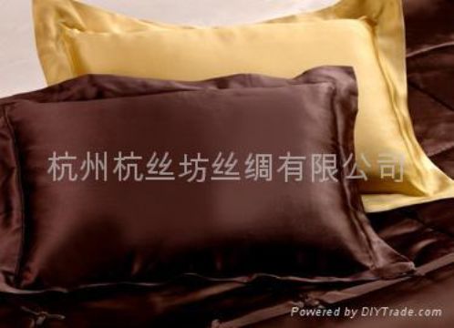 Pure Silk Pillow Case